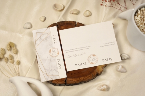 LAVANTA 202 MODEL DAVEYİYE