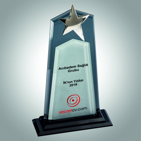 KRİSTAL VİP PLAKET YRV 006
